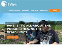 Tablet Screenshot of bigwaveproject.org